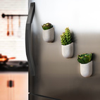 Magnetic Plant Pot Set