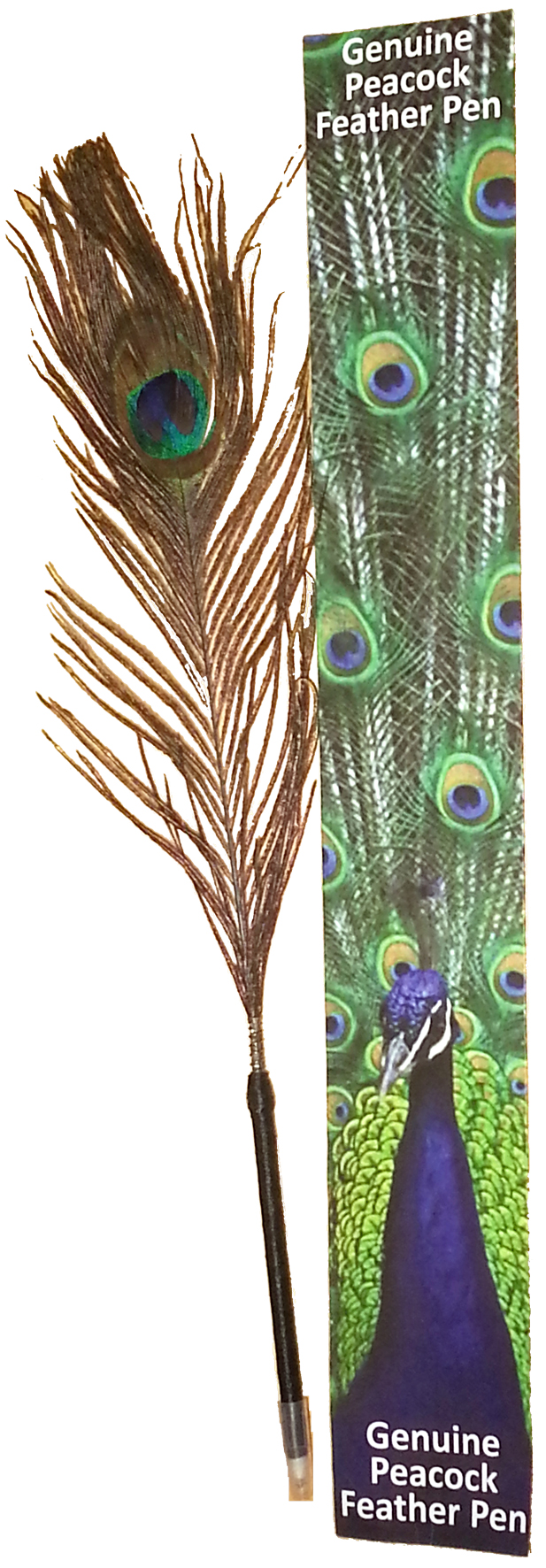 Peacock pen with card