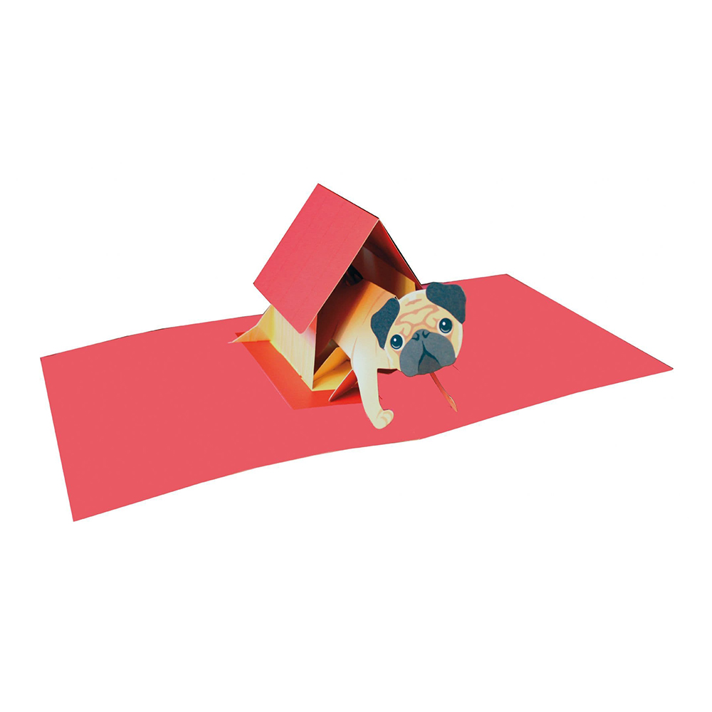 *Pop-Upkort Pug