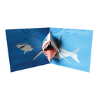 Pop Up Card Shark