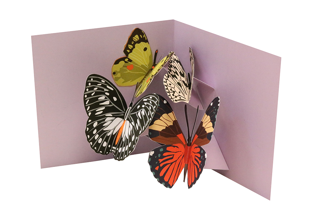 Pop-upkort Fyra fjärilar