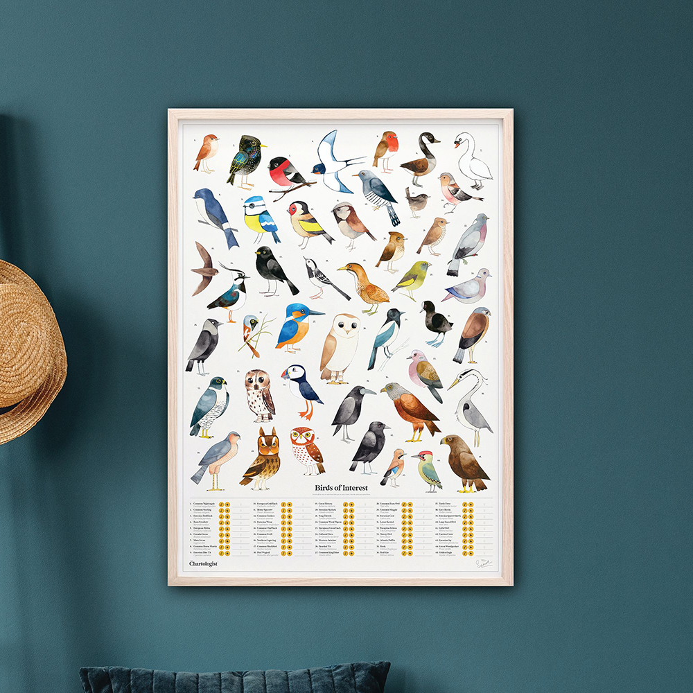 *REA Poster Garden Birds