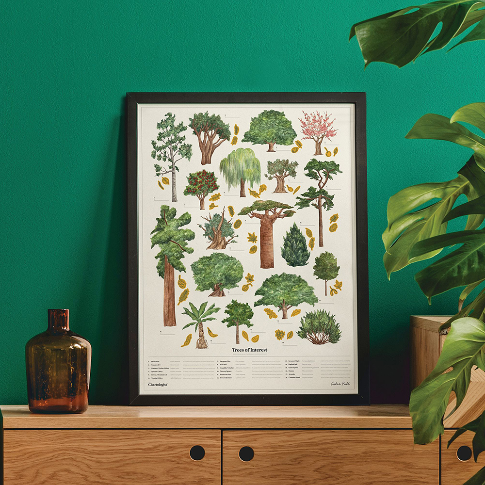 *SALE Poster Trees of interest