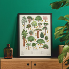 *REA Poster Trees of interest