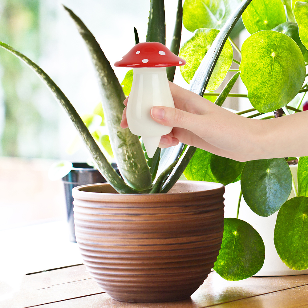 Self Watering Mushroom