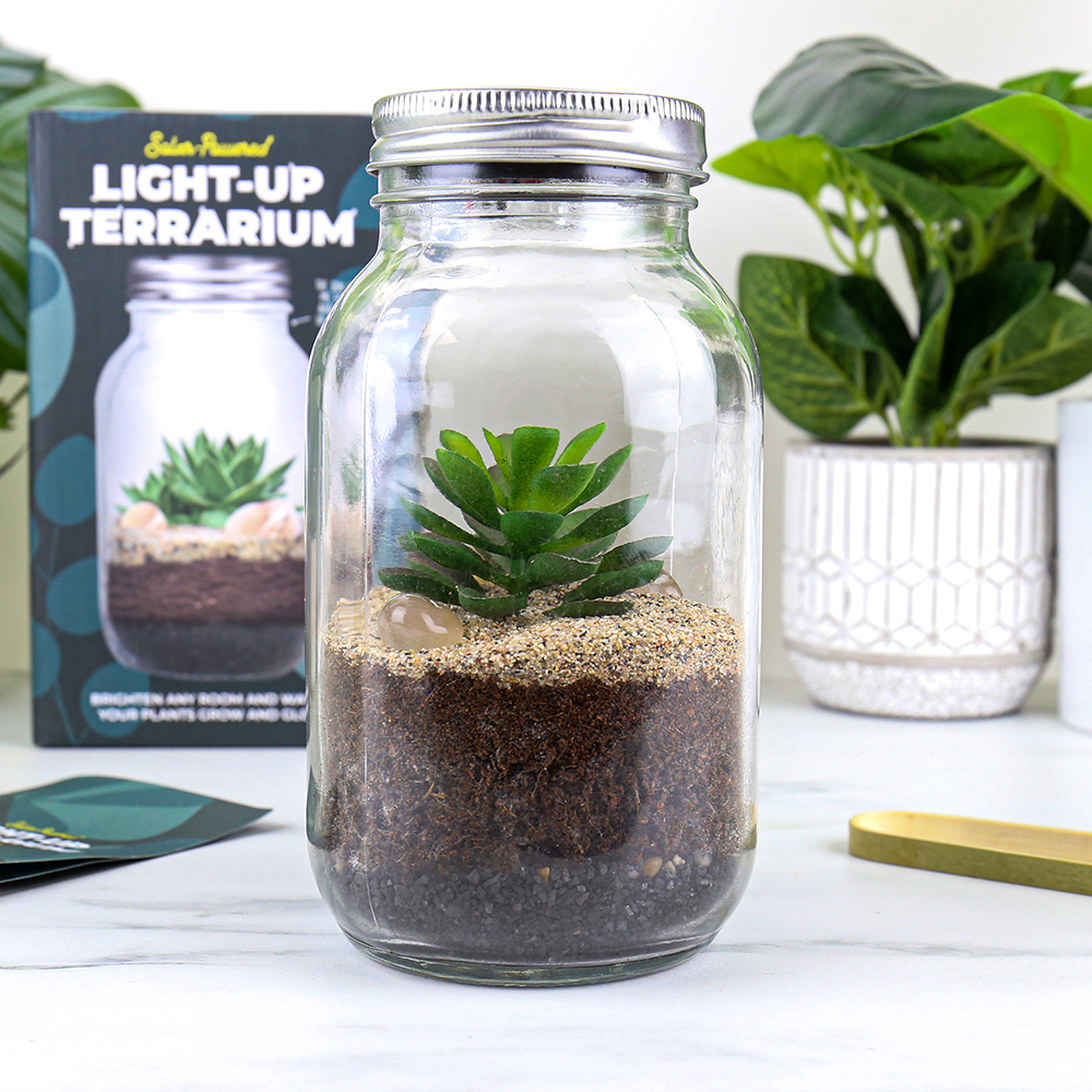 Solar Powered Terrarium