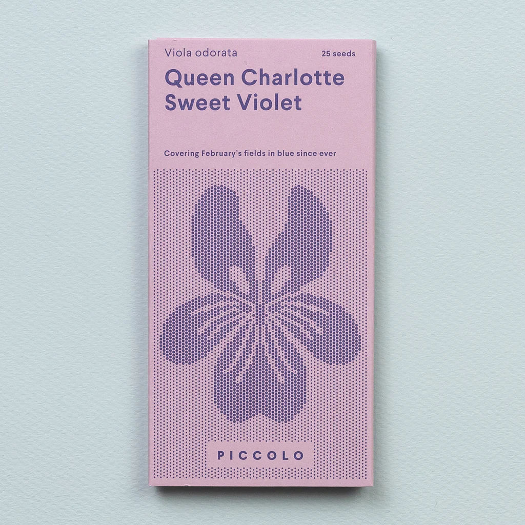 REA Luktviol Queen Charlotte