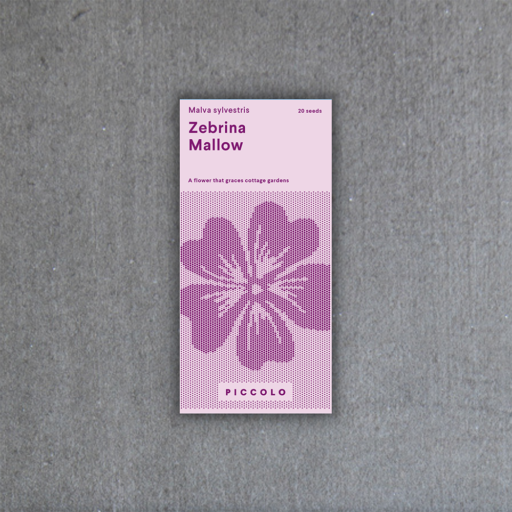 Zebrina Mallow