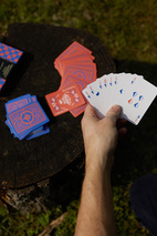 Twin Pack Playing Cards